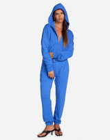 Bowman Bluebird