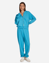 Baywood Vivid Blue