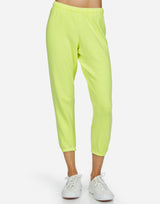 Nate Neon Citrus